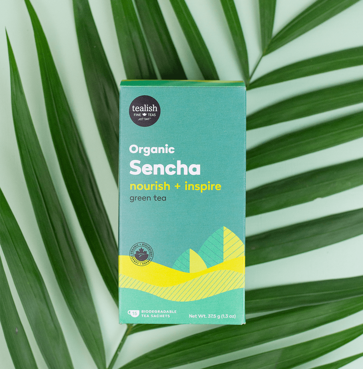 Organic Sencha green tea with smooth, grassy notes—nourishing and perfect for quiet moments of rest and reflection, offering a simple and soothing tea experience.