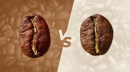 Arabica vs. Robusta: The Ultimate Guide to What's Really in Your Cup