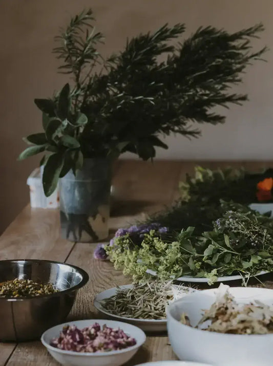 Best tea for liver support & repair