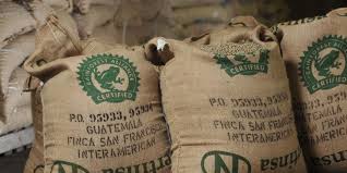 Understanding coffee certifications: What they mean for your brew