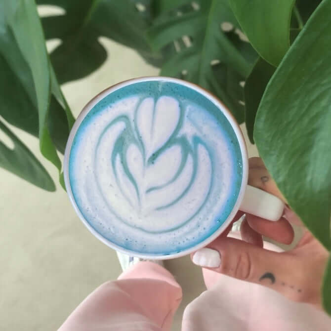 Bluetcha Blue Matcha Latte with vibrant blue spirulina and organic matcha—immune-boosting, detoxifying, and an eye-catching, Instagram-worthy superfood drink.