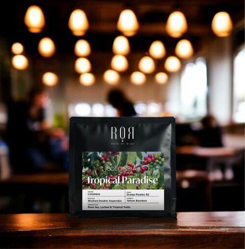 Colombia Tropical Paradise