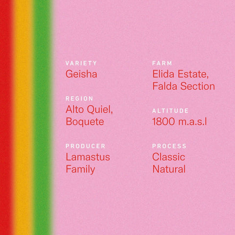 Panama Elida Estate Falda Geisha Natural coffee details: variety, region, altitude, producer, and process.