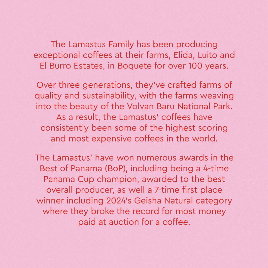 Text about the Lamastus Family's award-winning coffee farms, including Panama Elida Estate Falda Geisha Natural, in Boquete, Panama.