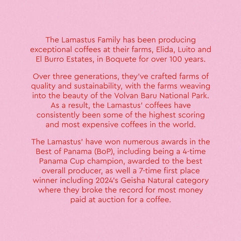 Text about the Lamastus Family's award-winning coffee farms, including Panama Elida Estate Falda Geisha Natural, in Boquete, Panama.
