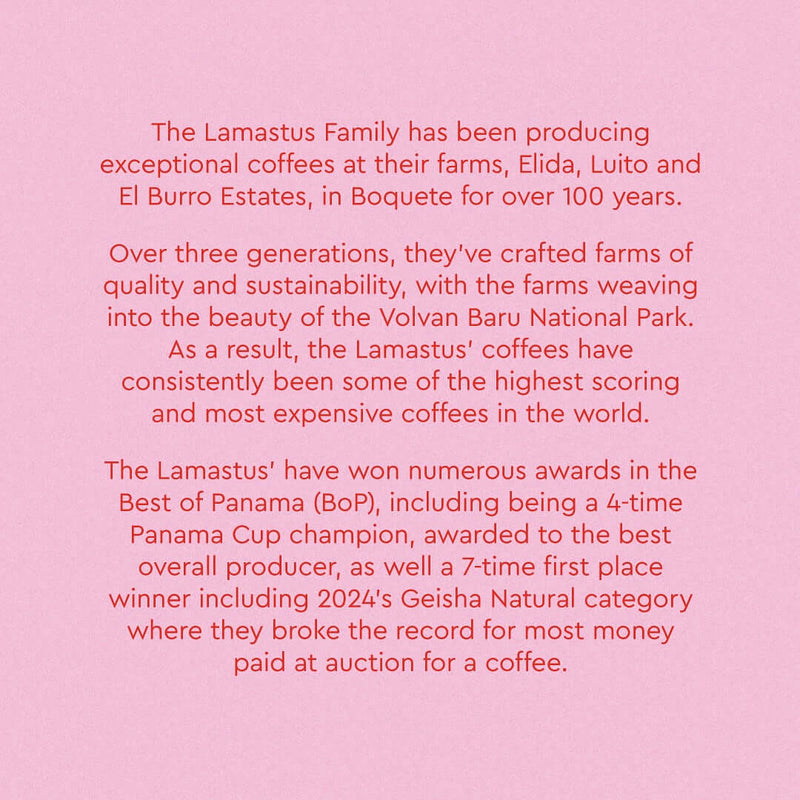 Text about the Lamastus Family's award-winning coffee farms, including Panama Elida Estate Falda Geisha Natural, in Boquete, Panama.
