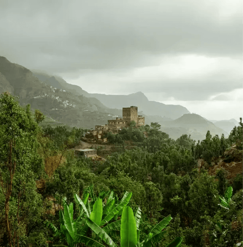 Scenic view of lush green hills and historic building enveloped in misty clouds, depicting vibrant natural landscape.