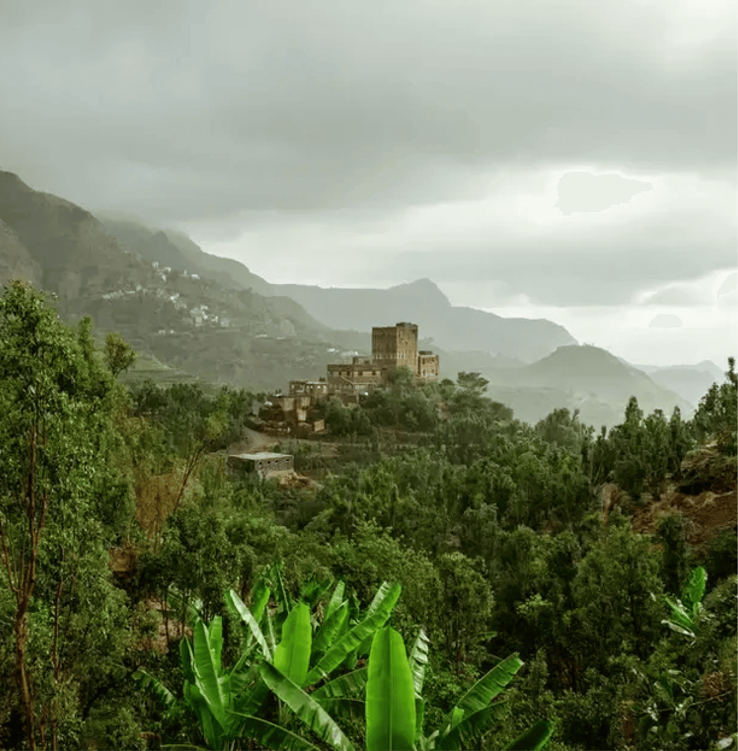 Scenic view of lush green landscape with mountains in Yemen, highlighting the origin of Arabic Gahwa Specialty Ground Coffee.