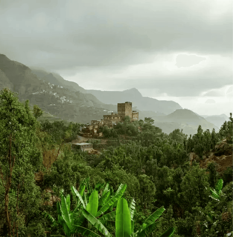 Scenic view of lush green landscape with mountains in Yemen, highlighting the origin of Arabic Gahwa Specialty Ground Coffee.