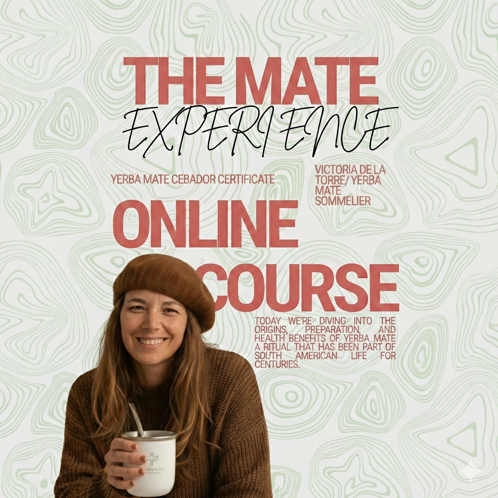 The Yerba Mate Kit
