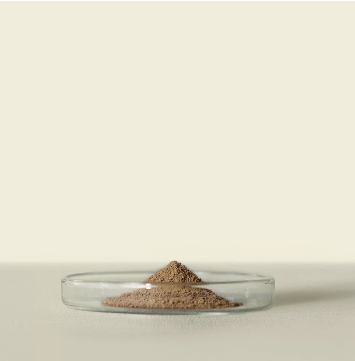Uji Houjicha Powder: Deep roasted for toasty aromas, caramelized sugar notes, and versatile use in recipes. Premium Uji tea leaves.
