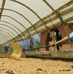 Sun-drying coffee beans in raised beds inside a greenhouse, part of the natural decaffeination process behind Ben Rahim’s Ramadan decaf coffee.