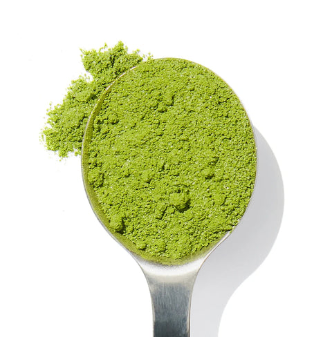 Organic flavored matcha powder in a spoon, sustainably sourced from small farms, rich in antioxidants and hand-harvested for superior quality and flavor.