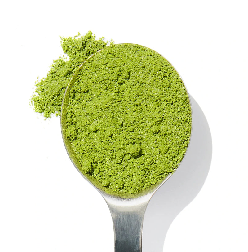 Organic flavored matcha powder in a spoon, sustainably sourced from small farms, rich in antioxidants and hand-harvested for superior quality and flavor.