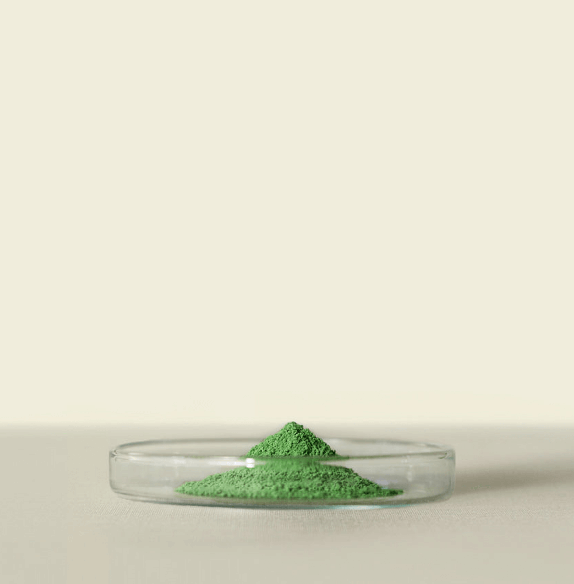 Misaki™ ceremonial-grade matcha: Exquisite, buttery-sweet broth with malty roasted aromas. Made from shade-grown, 30-year-old tea trees.