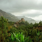 Lush, green coffee-growing region in Yemen with traditional village and terraced hills, representing the origin of Al Yemenia coffee.