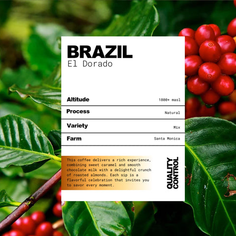 Brazil Eldorado