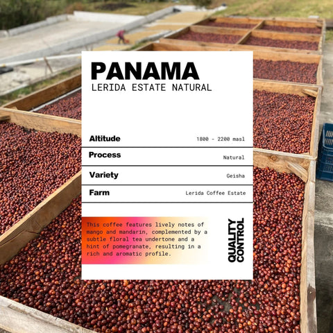 Panama Lerida Estate Natural