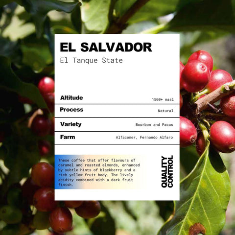 El Salvador El Tanque State Natural