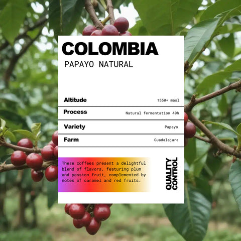 Colombia Papayo Natural