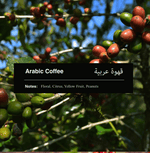 Palate Espresso Blend Coffee - Bold & Chocolatey Flavor