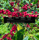 Espresso Blend Palate coffee - Bold & Chocolatey