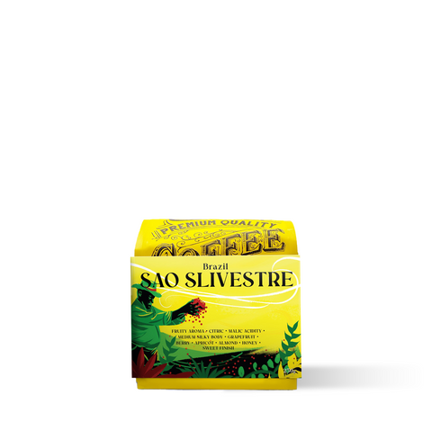 Brazil - Sao Silvestre