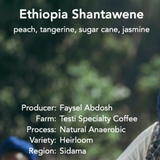 Testi Specialty Coffee - Ethiopia Shantawene — view 2