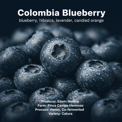 Campo Hermoso - Colombia Blueberry Mossto