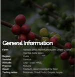 Colombia Flor Del Desierto coffee details with cherry coffee beans on a branch, Huila region, natural process, medium roast