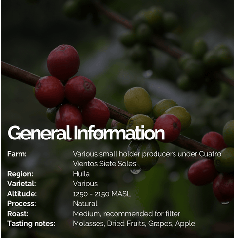 Colombia Flor Del Desierto coffee details with cherry coffee beans on a branch, Huila region, natural process, medium roast