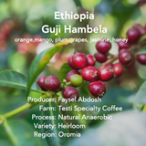 Ethiopia Guji Hambela Natural Anaerobic coffee beans in a bag — view 2