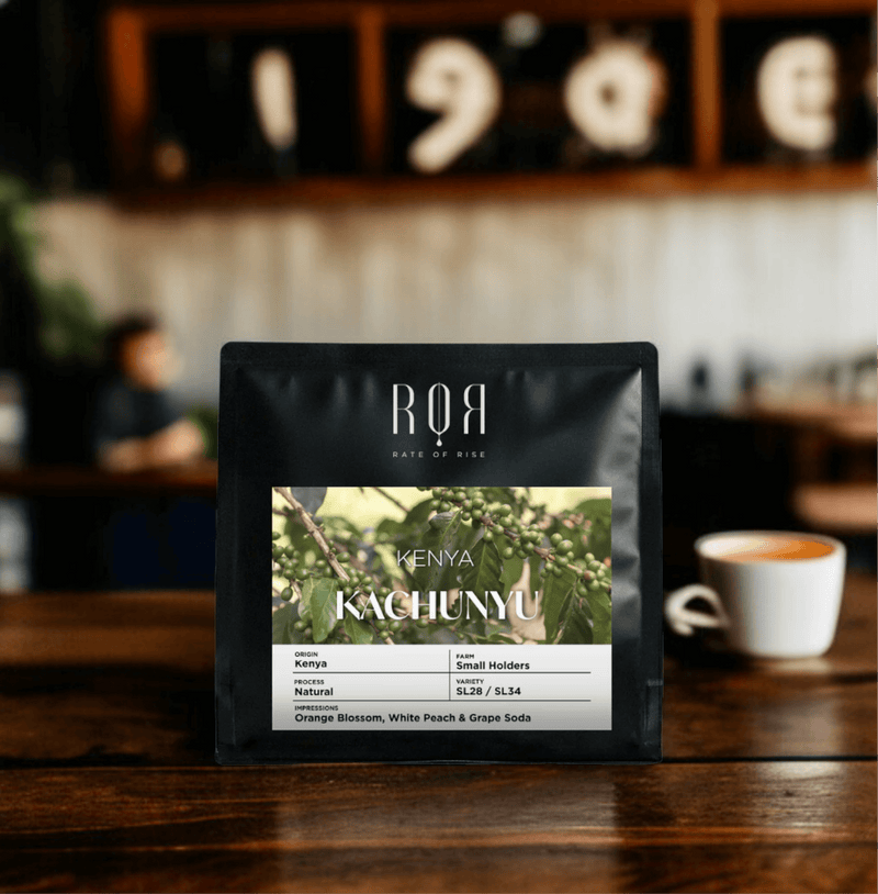 Kenya Kachunyu coffee bag on a cafe table, showcasing its vibrant and complex East African flavors.