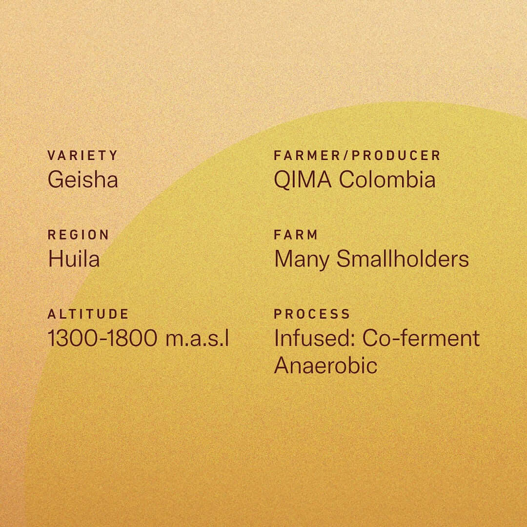 Details of Colombia Lemon Candy Geisha coffee including variety, region, and process in infographic style.
