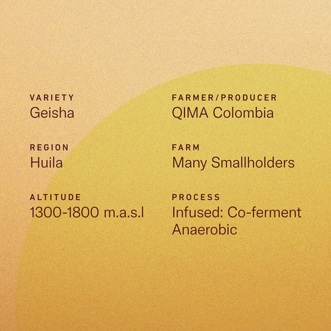 Details of Colombia Lemon Candy Geisha coffee including variety, region, and process in infographic style.