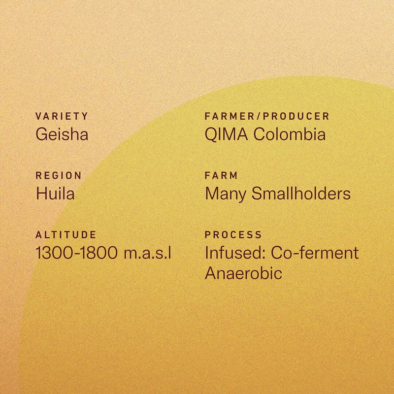 Details of Colombia Lemon Candy Geisha coffee including variety, region, and process in infographic style.