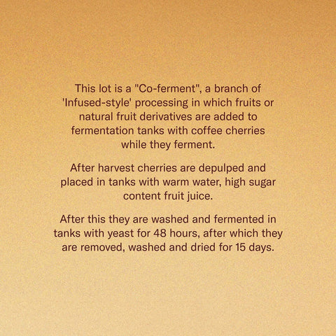 Colombia Lemon Candy Geisha processing steps in text format, highlighting co-ferment process with fruit and coffee cherries.