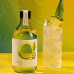 Tropic All 0.00% ABV botanical drink bottle with glass, highlighting Caribbean flavors and rum-like taste.