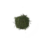 Sencha Japanese Green Tea - Umami - Image 2
