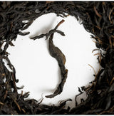 100 years old Wakōcha (Japanese Black Tea) rare single-origin tea leaves from 100-year-old zairai trees in Uji, Kyoto