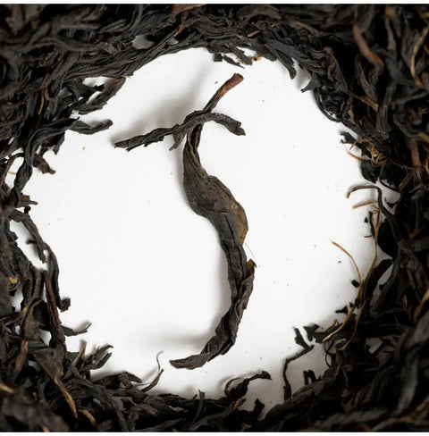 100 years old Wakōcha (Japanese Black Tea) rare single-origin tea leaves from 100-year-old zairai trees in Uji, Kyoto