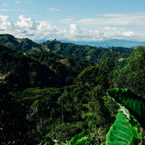 Colombia El Diviso - Image 3