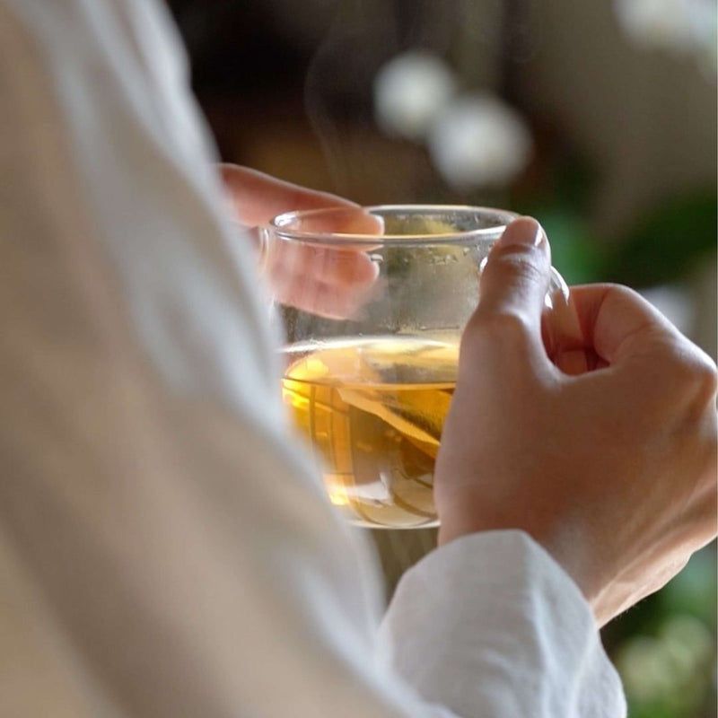 Person holding a cup of Pu Erh With Lemon & Vanilla tea, showcasing its vibrant blend and soothing aroma.